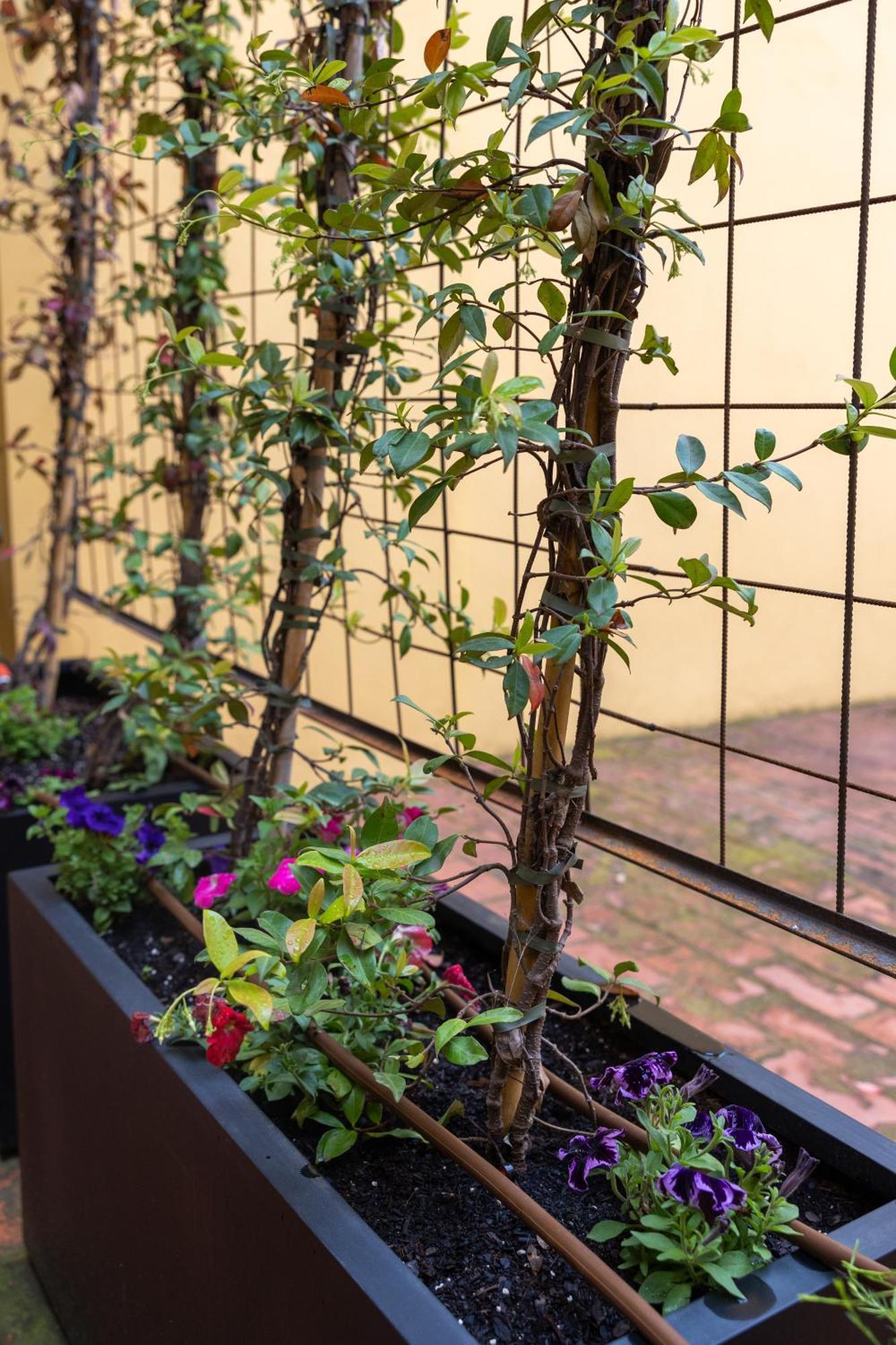 One-Bedroom Apartment Garden View