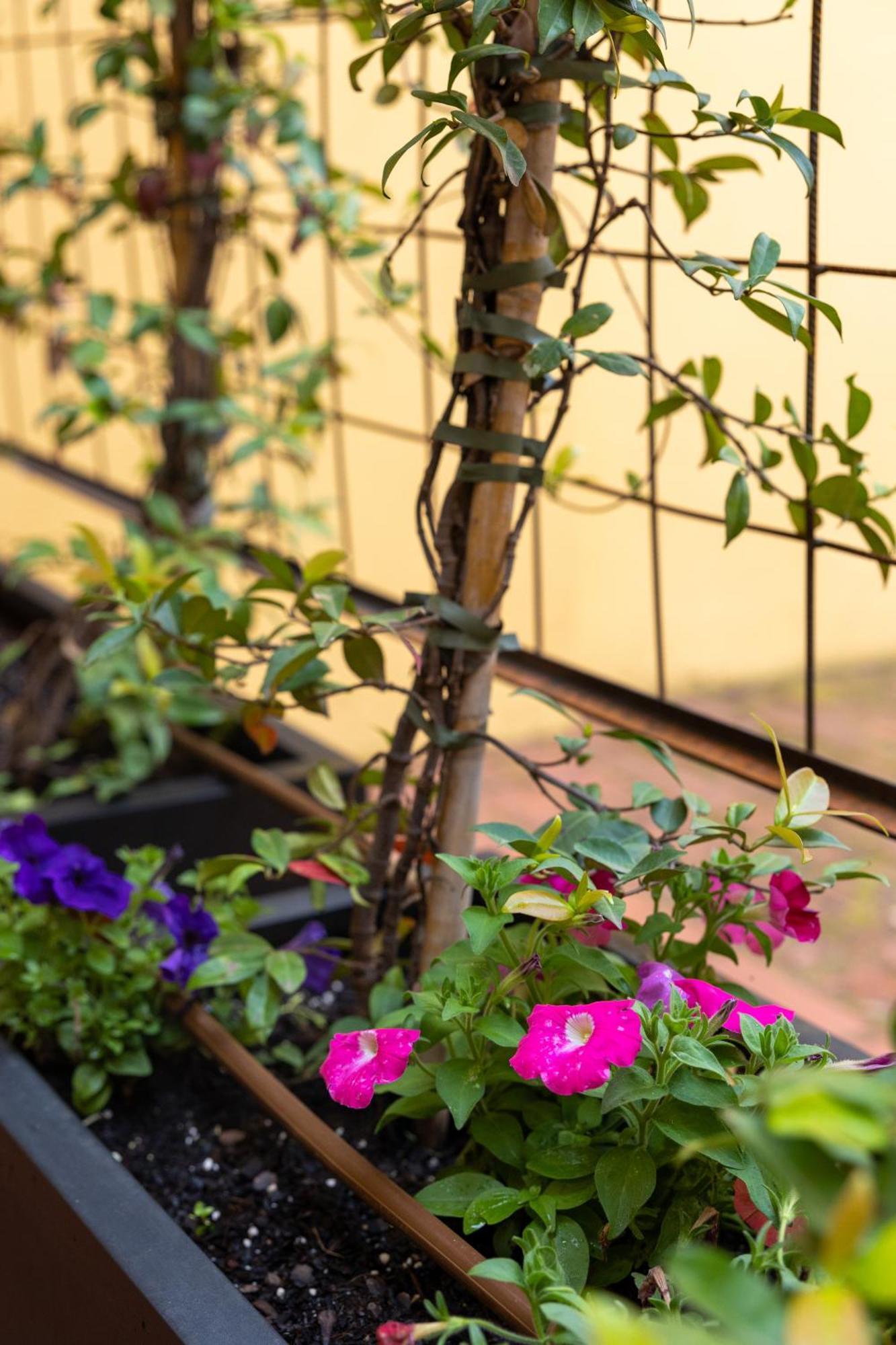 One-Bedroom Apartment Garden View