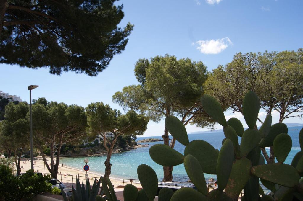 One-Bedroom Apartment,31724522:JPEG