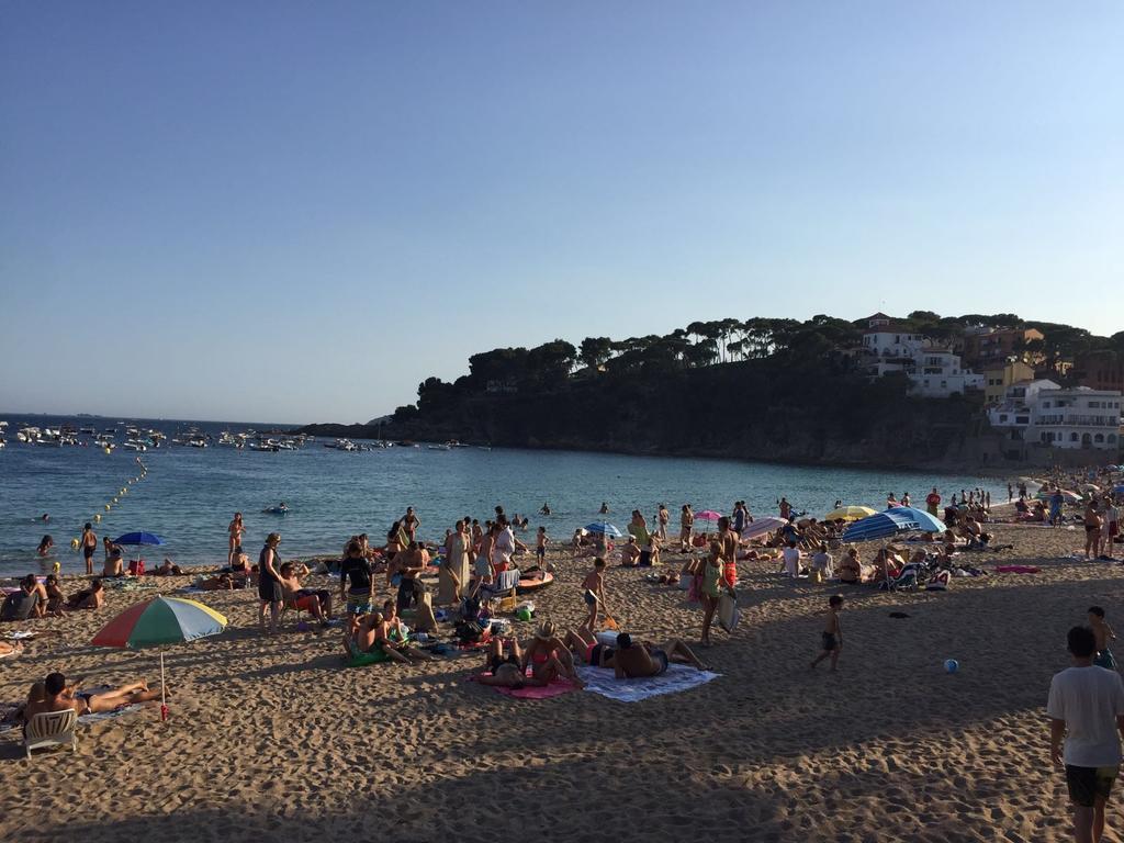 Apartment with Terrace,324736267:JPEG