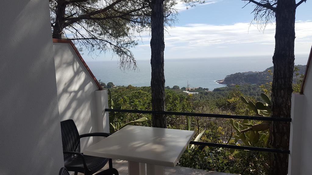 Double/Twin Room with Sea View