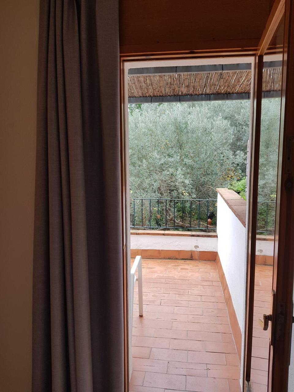 Twin Room Terrace,743611501:JPEG