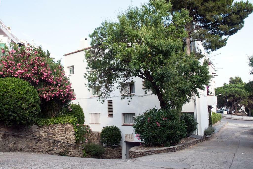 Apartment - Ground Floor,856320020:JPEG