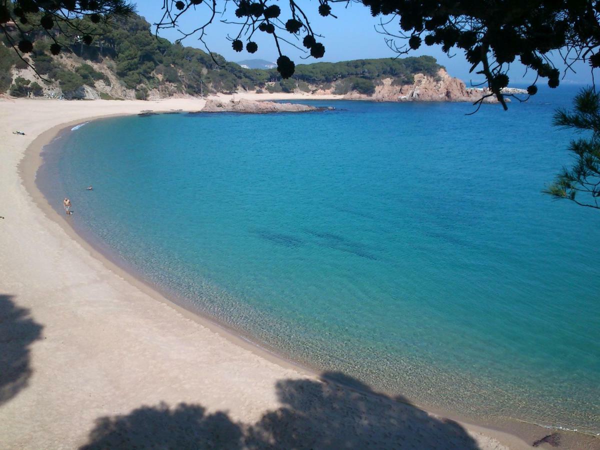 Apartment Garden View