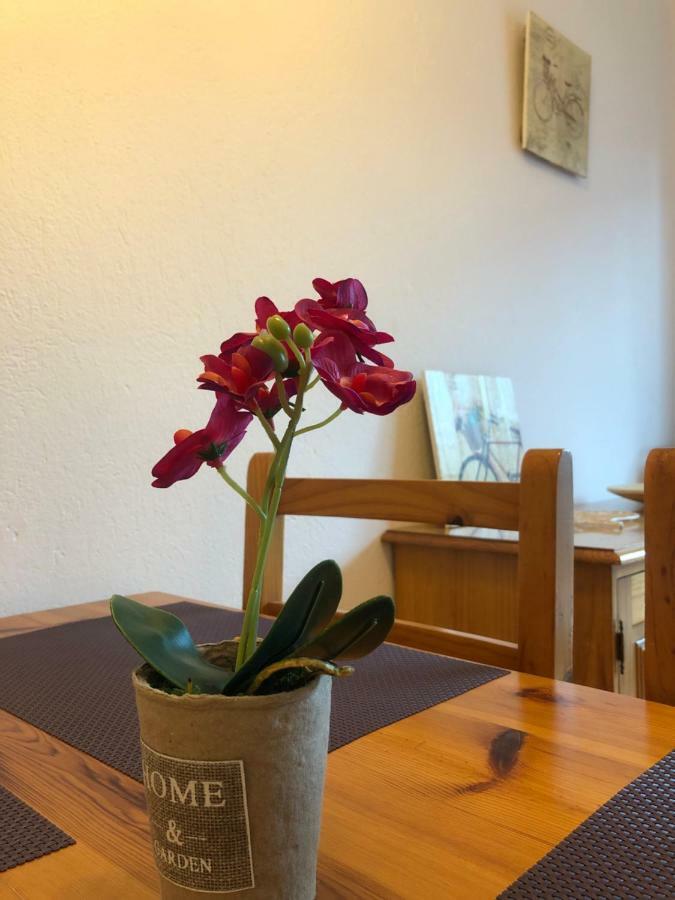 Apartment Terrace