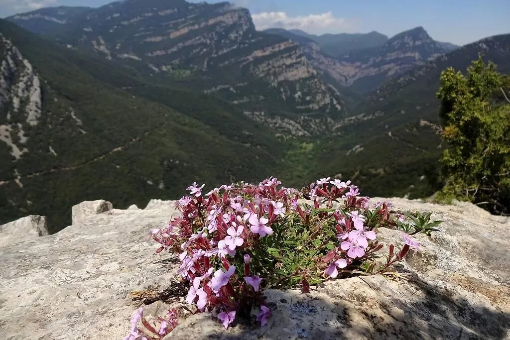 Pont De Valenti Mountain Retreat-1