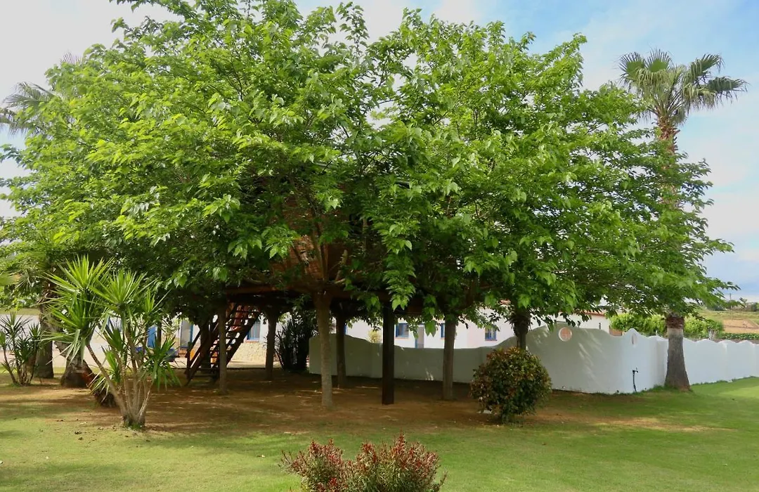 Naturetreehouse Casa Sobre Los Arboles-1
