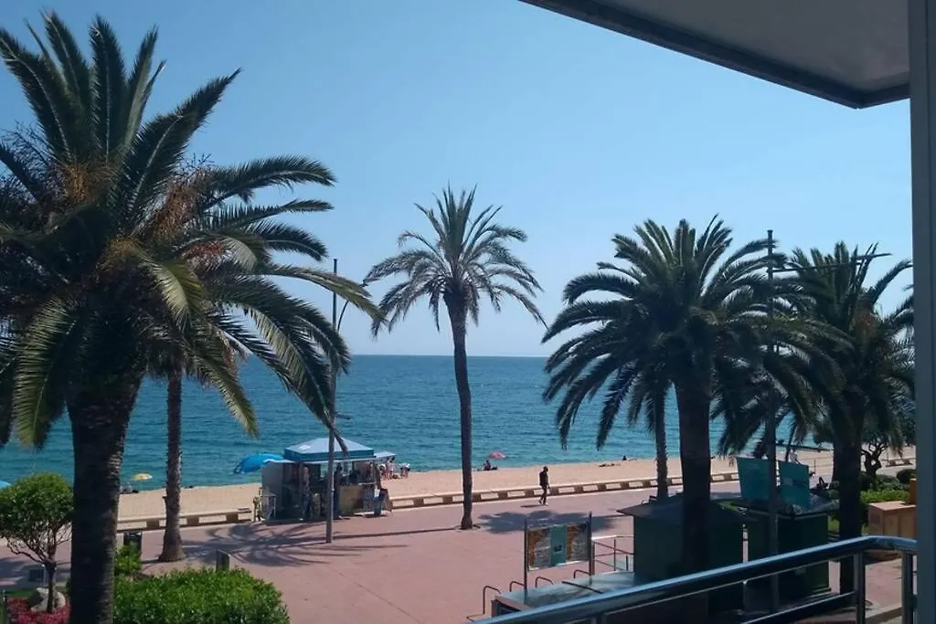 Apartamento Soleado 2-1