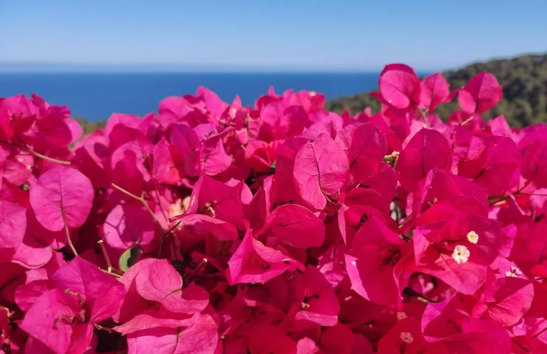 Your Paradise At Costa Brava-1