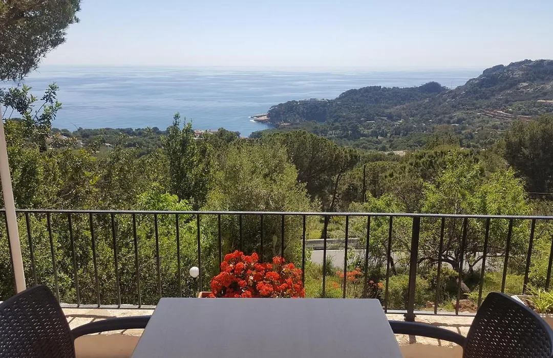 Hostal Sa Barraca - Adults Only-1