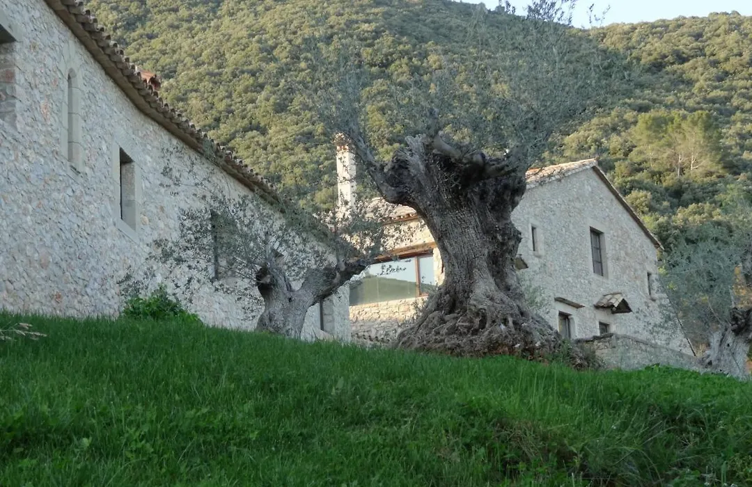 Els Masos De Caula-1