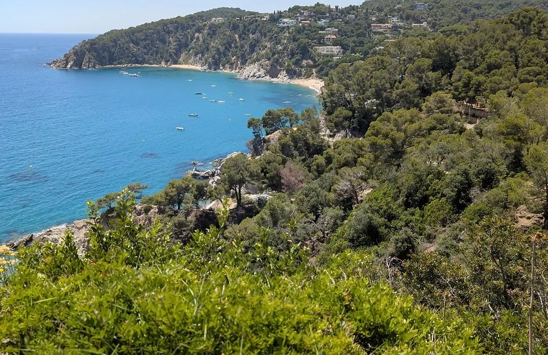 Cala Llevado 2 - Vistas, Piscina Y Cerca Del Mar-1