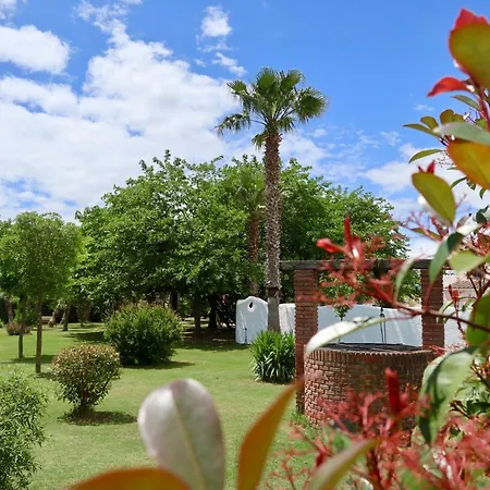 Naturetreehouse Casa Sobre Los Arboles-3