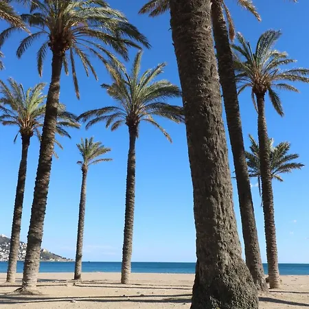 Traveserra-3