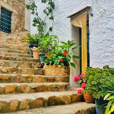 Apartamento Tossa De Mar-2
