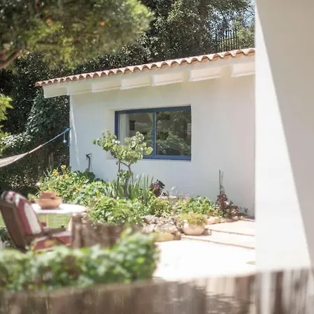 House With Garden-2