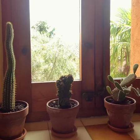 2 Bedrooms Appartement With Balcony And Wifi At Peralada-3