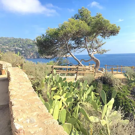 Apartment Cb E-3 - Calella De Palafrugell-3