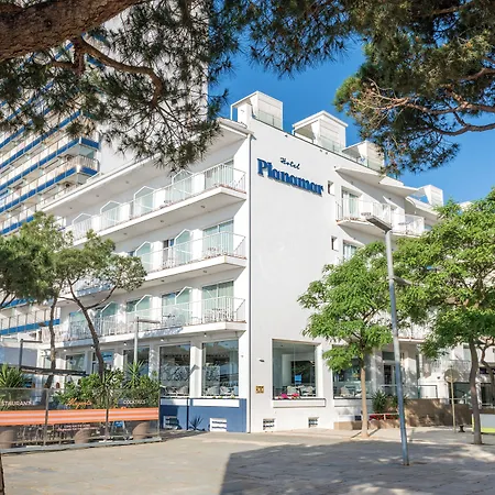 Hotel Planamar By Escampa Hotels-3