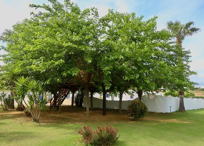 Naturetreehouse Casa Sobre Los Arboles Blanes