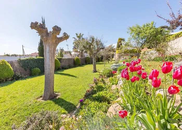 2Mg - Blanes Villa met een Zwembad