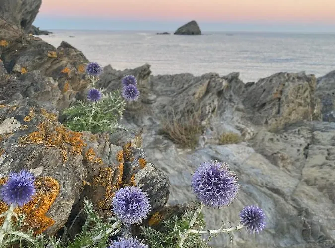 Estudio Boho-Chic Nuevo Bien Ubicado Appartamento Cadaqués che accetta animali