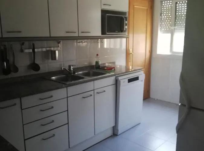 Huisdiervriedelijke Apart Figueres