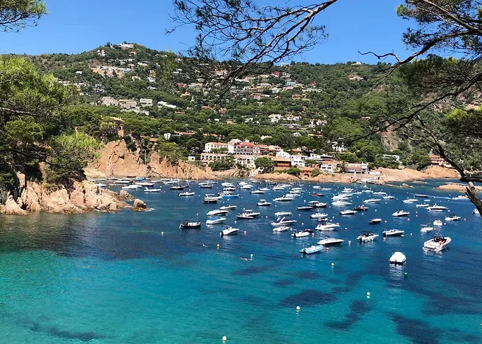 Apartamento Illa Blanca Mar Fornells Begur admite animales