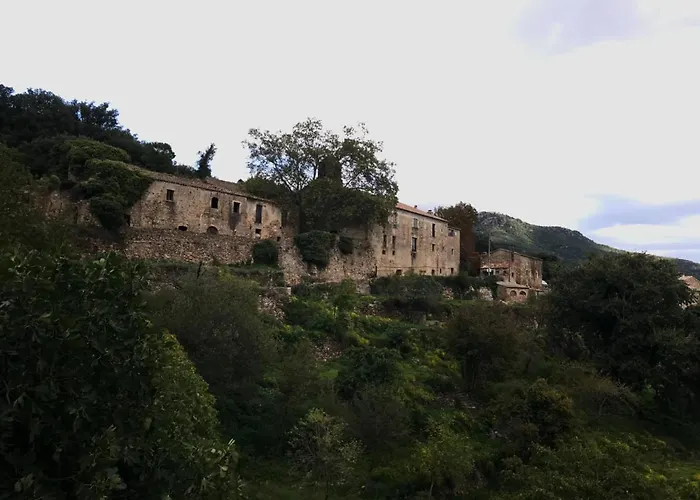 Maison d'hôtes Requesens à La Jonquière