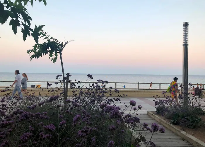Blanes Bliss Apt