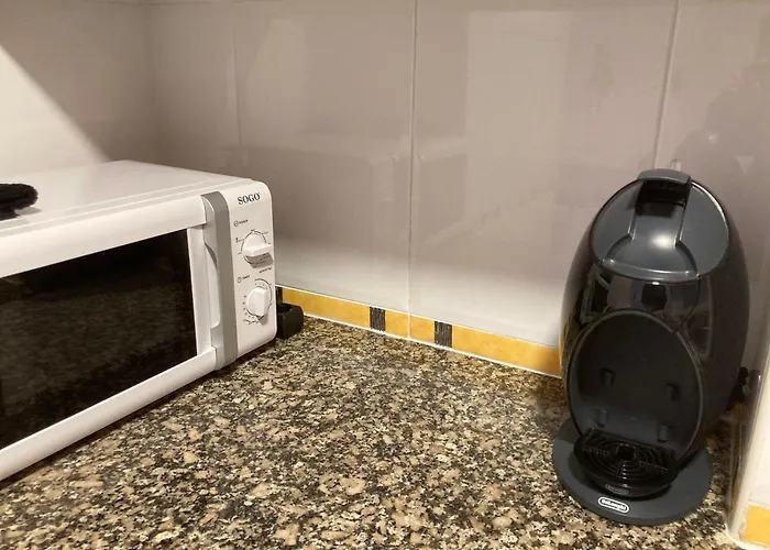 Huisdiervriedelijke Centrico Y Acogedor Apartamento Gerona