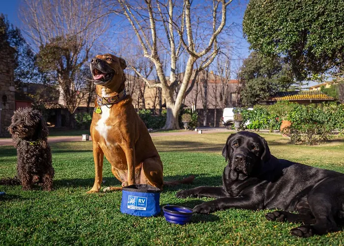 Hoteles en Santa Cristina d'Aro