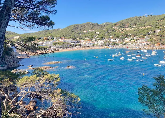 Puig Artigas 2 Apartment Calella De Palafrugell