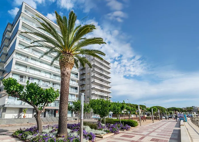 Huisdiervriedelijke Pierre & Vacances Blanes Playa