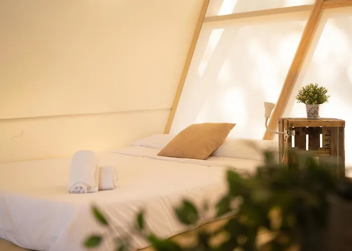 Huisdiervriedelijke Kampaoh Platja D'Aro Hotel