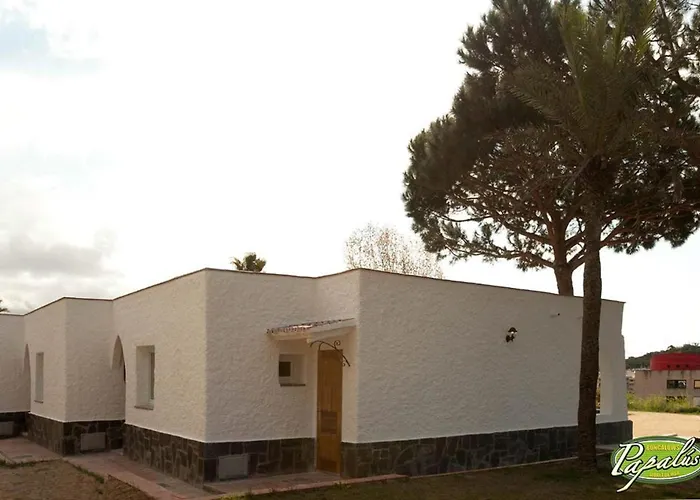 Lloret de Mar Dog Friendly Lodging and Hotels