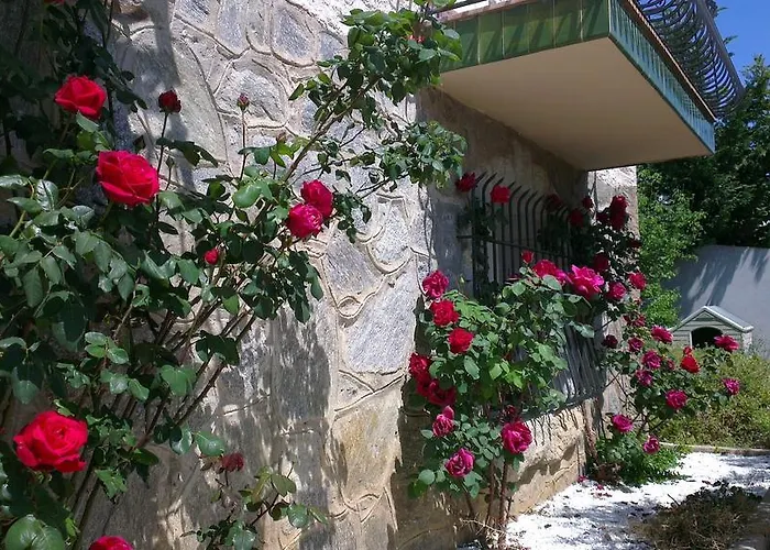 L'Encantarella Roses