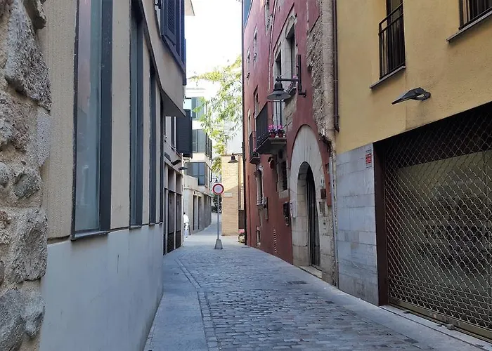 Huisdiervriedelijke Gran Estudio Barri Vell Gerona