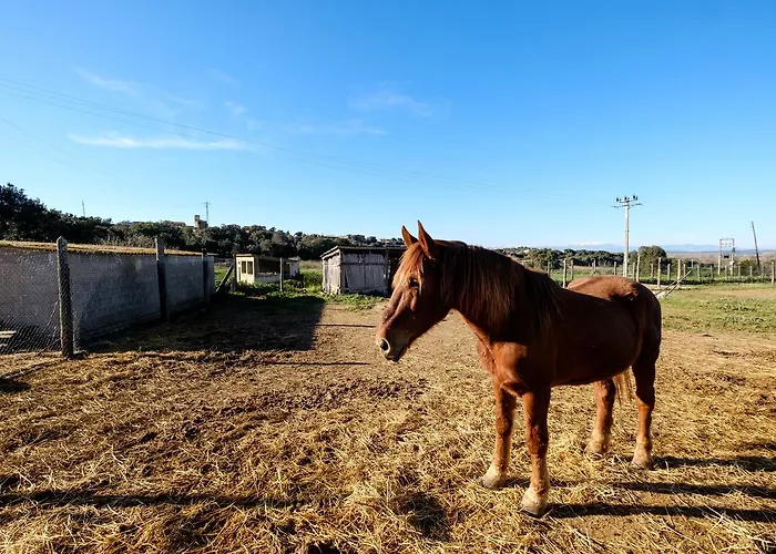 Ferienwohnung in Costa Brava