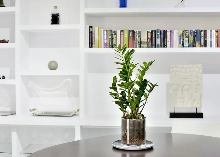 Sequia Deluxe Apartment Gerona