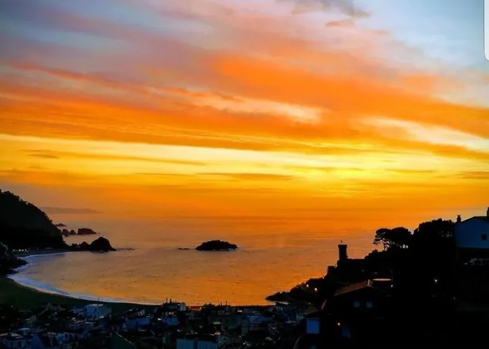 Paradis Tossa Tossa de Mar admite animales