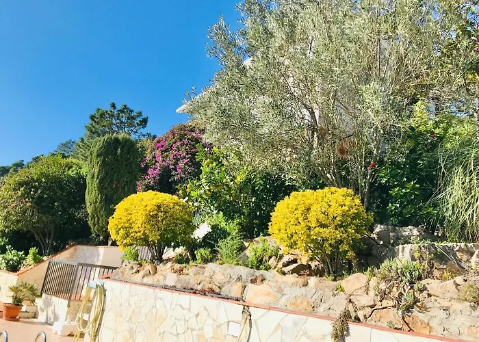 Mediterranean Villa Investingspain Sea View And Pool Lloret de Mar with Pool